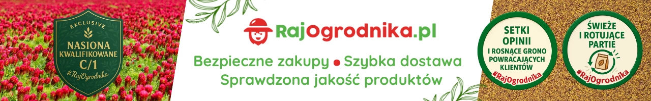Baner wewnętrzny Mieszanka Duet Inkarnatek na poplon sklep rajogrodnika